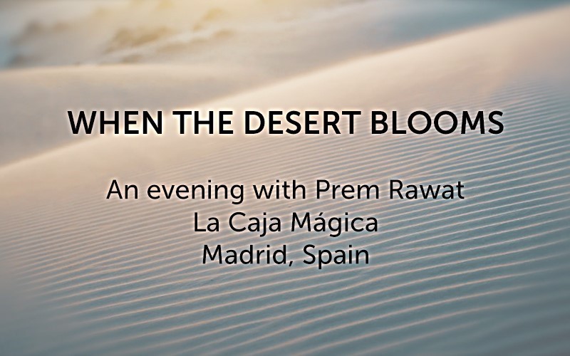 When the Desert Blooms (Audio)