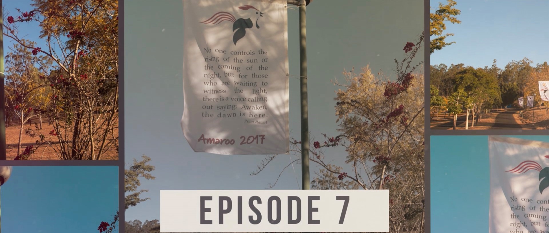 Amaroo 2017 Series Episode 7 Video