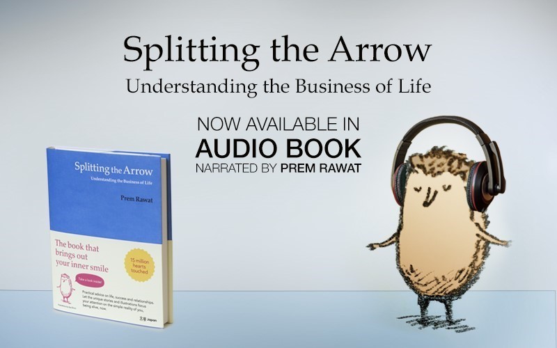 Splitting the Arrow (Audiobook)