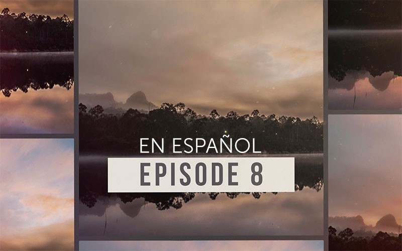 Episodio 8 de la Serie Amaroo 2017 (Video) Español