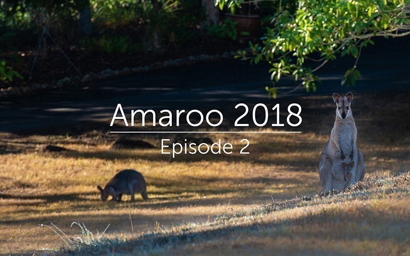 Amaroo 2018 Episode 2 (Audio)