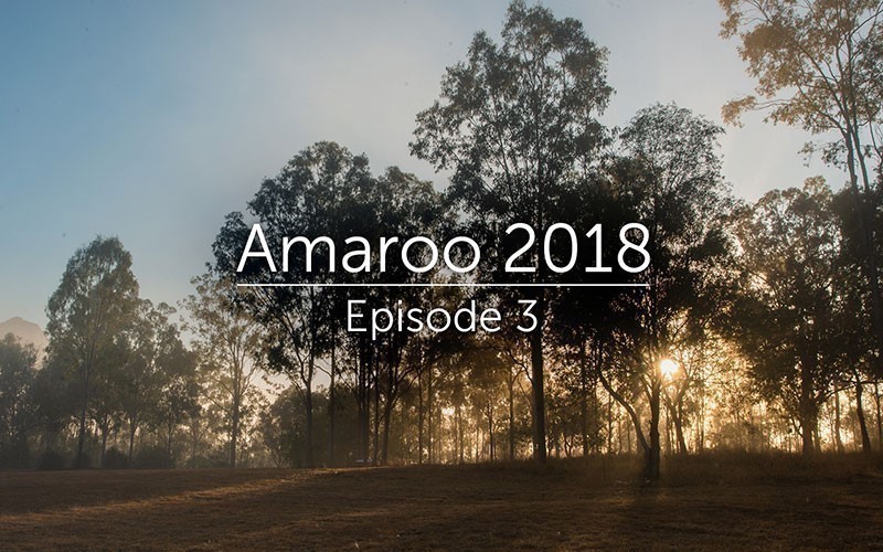 Amaroo 2018 Episode 3 (Audio)