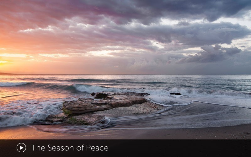 The Season of Peace