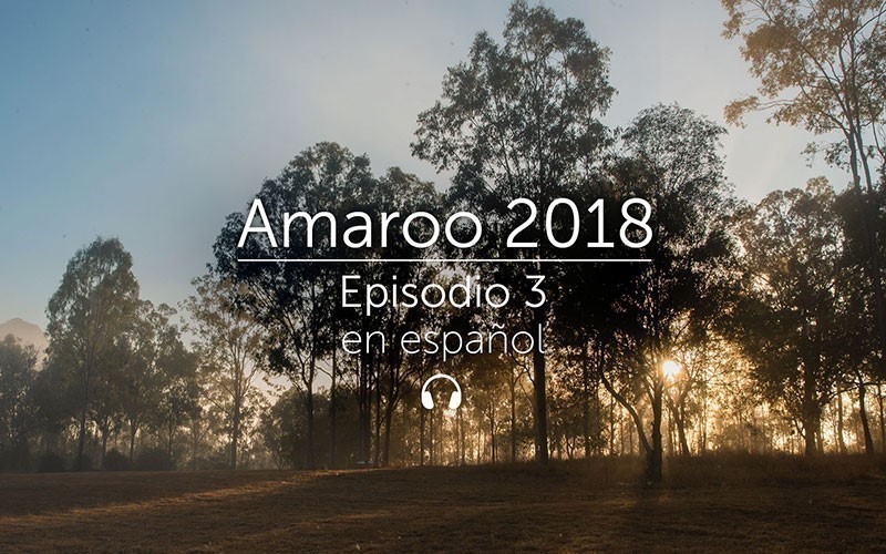 Amaroo 2018 Episodio 3 - español (audio)