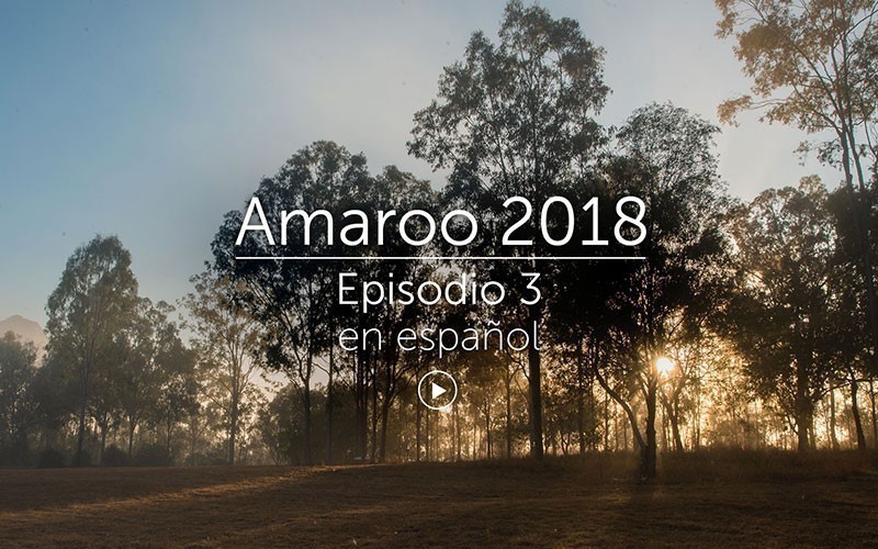 Amaroo 2018 Episodio 3 - español (video)