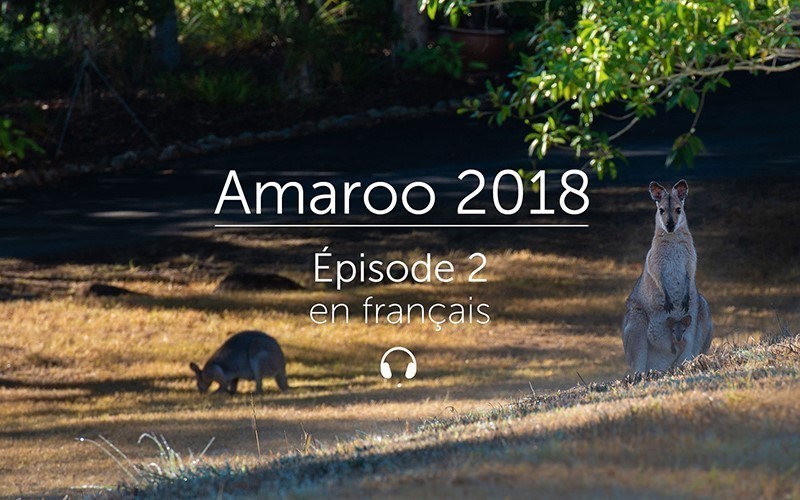 Amaroo 2018 Épisode 2 - français (Audio)