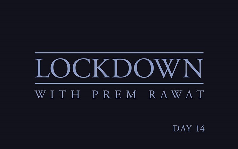 Lockdown, Day 14