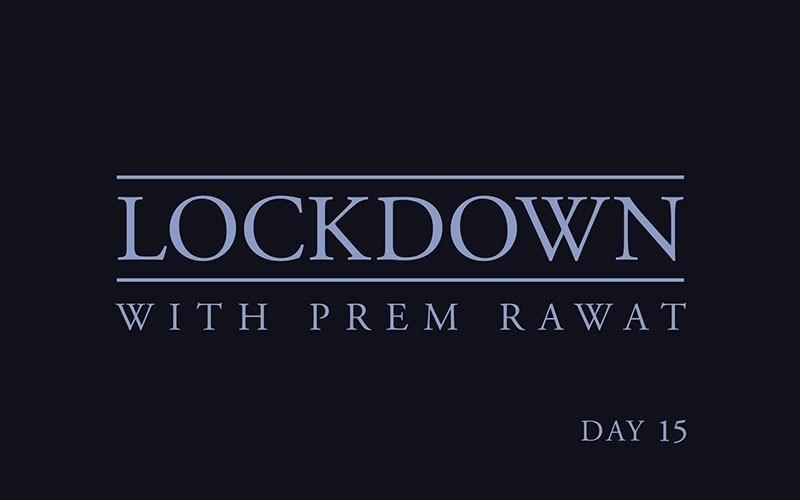 Lockdown, Day 15