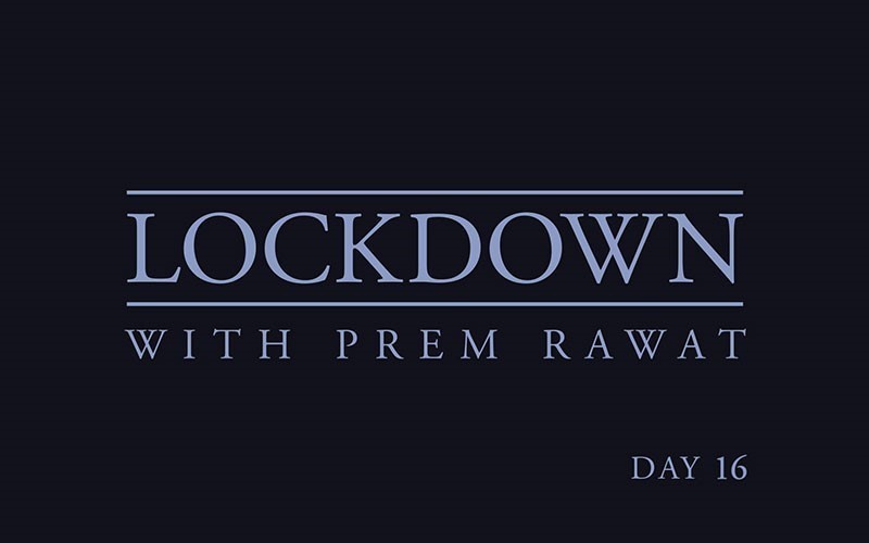 Lockdown, Day 16