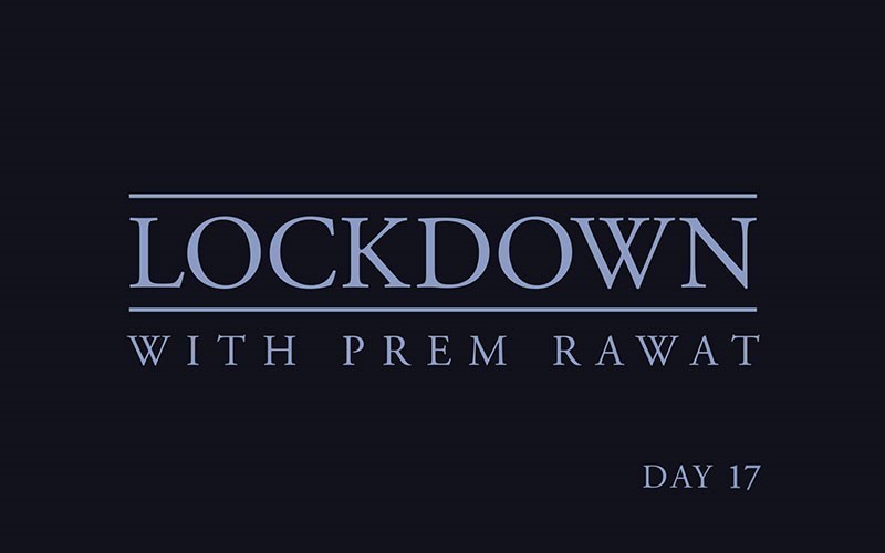 Lockdown, Day 17