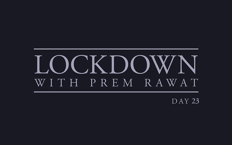Lockdown, Day 23
