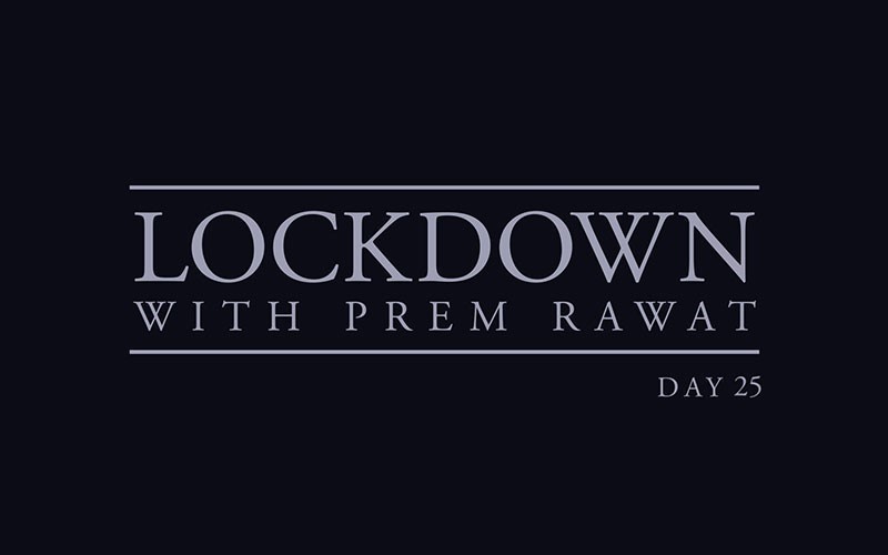 Lockdown, Day 25