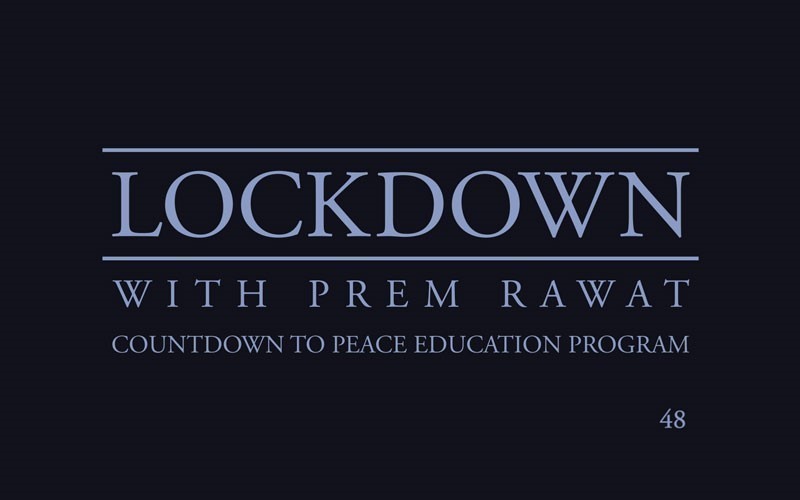 Lockdown, Day 48