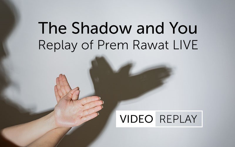 The Shadow and You (Video)