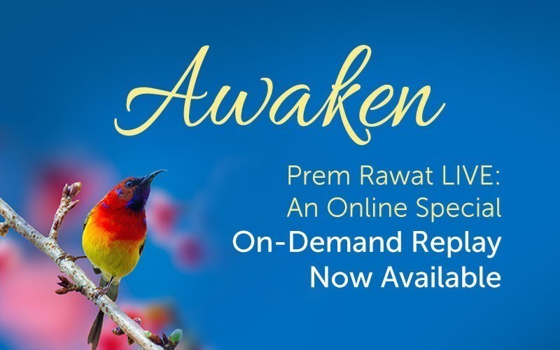 Awaken (Audio)