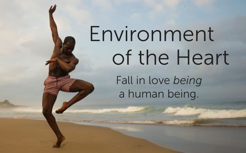 Environment of the Heart