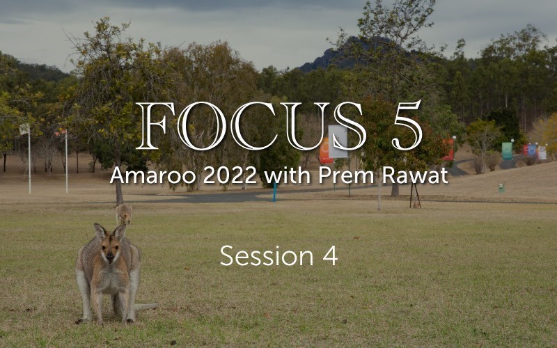 Session 4, Focus 5 (video)