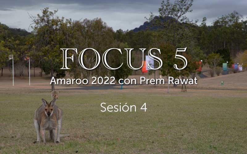 Sesión 4, Focus 5 (video)