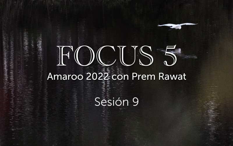 Sesión 9, Focus 5 (video)
