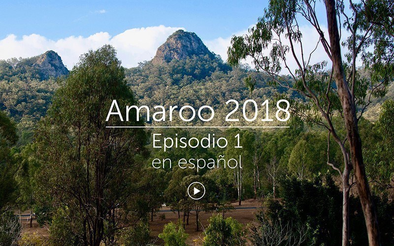Amaroo 2018 Episodio 1