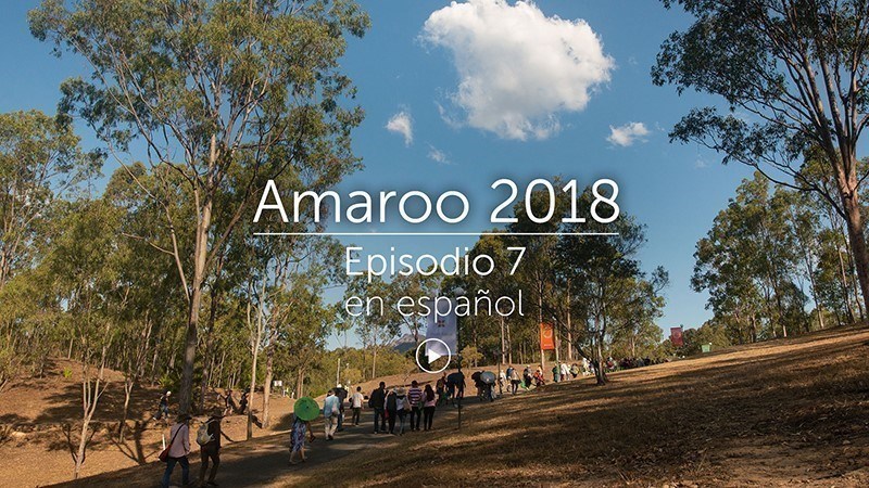 Amaroo 2018 Episodio 7