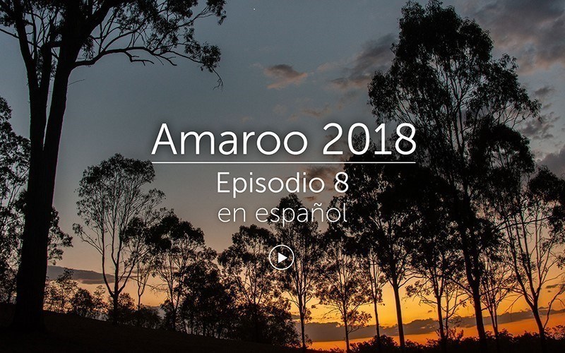 Amaroo 2018 Episodio 8
