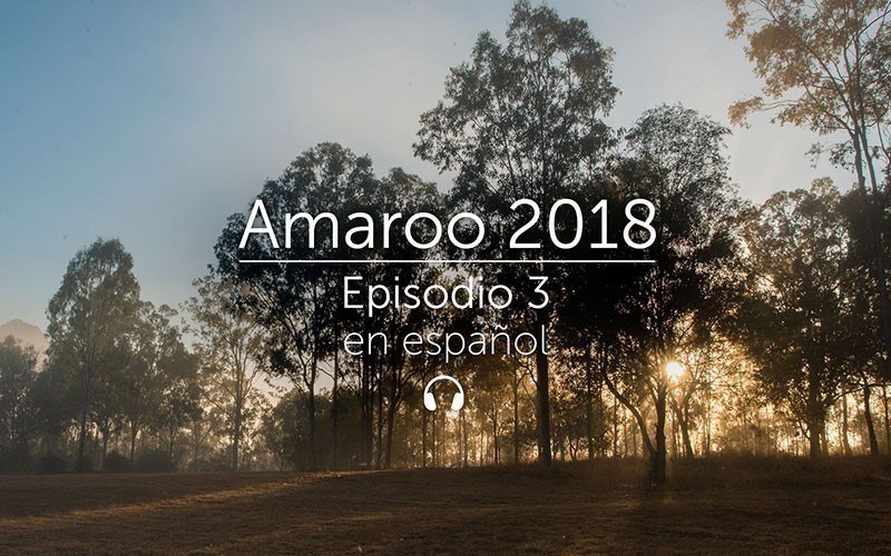 Amaroo 2018 Episode 3