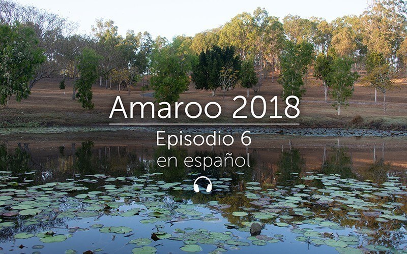 Amaroo 2018 Episodio 6