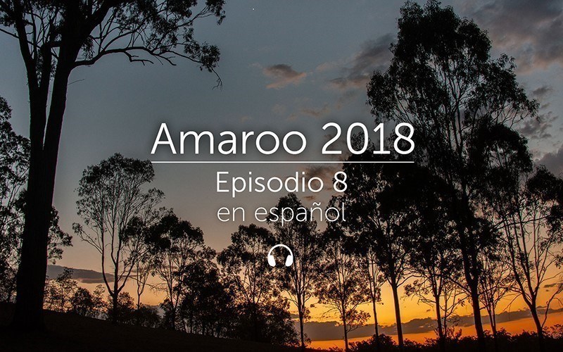 Amaroo 2018 Episodio 8