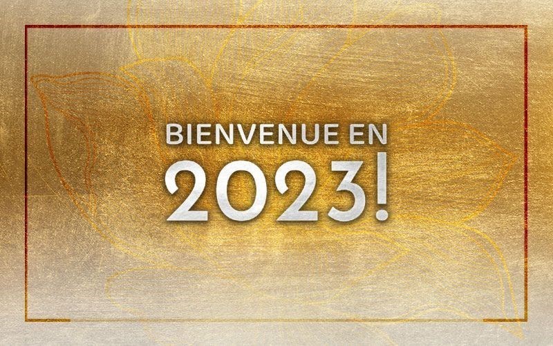 Bienvenue en 2023 ! Une Nouvelle Année avec Prem Rawat (video)