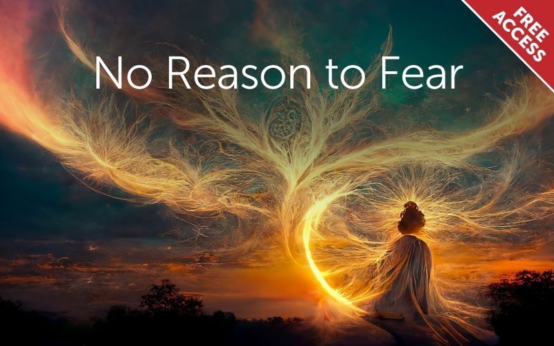 No Reason to Fear