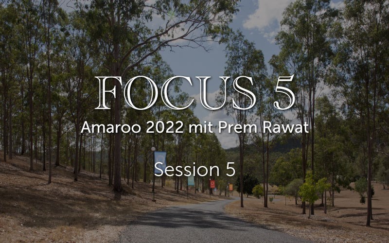Session 5, Focus 5 (audio)