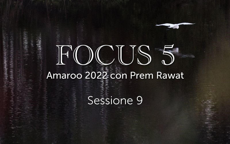 Sessione 9, Focus 5 (video)