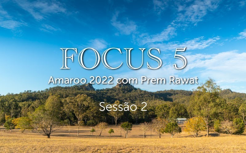 Sessão 2, Focus 5 (video)