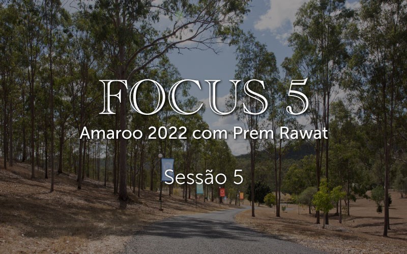 Sessão 5, Focus 5 (video)