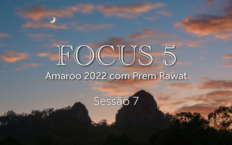 Sessão 7, Focus 5 (video)