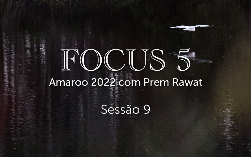 Sessão 9, Focus 5 (audio)