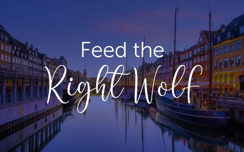 Feed the Right Wolf